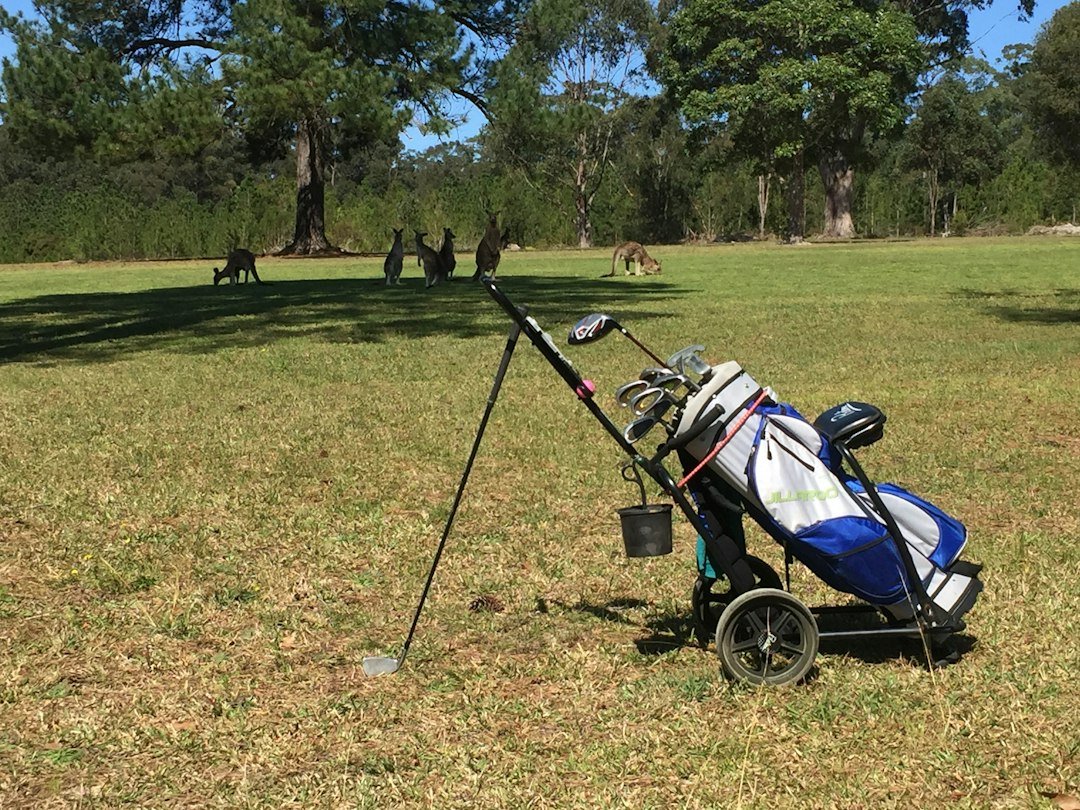 black and blue stroller on green grass field during daytime